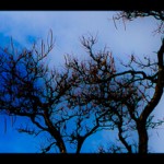 2011-03-04-0002 2011-03-04-0002